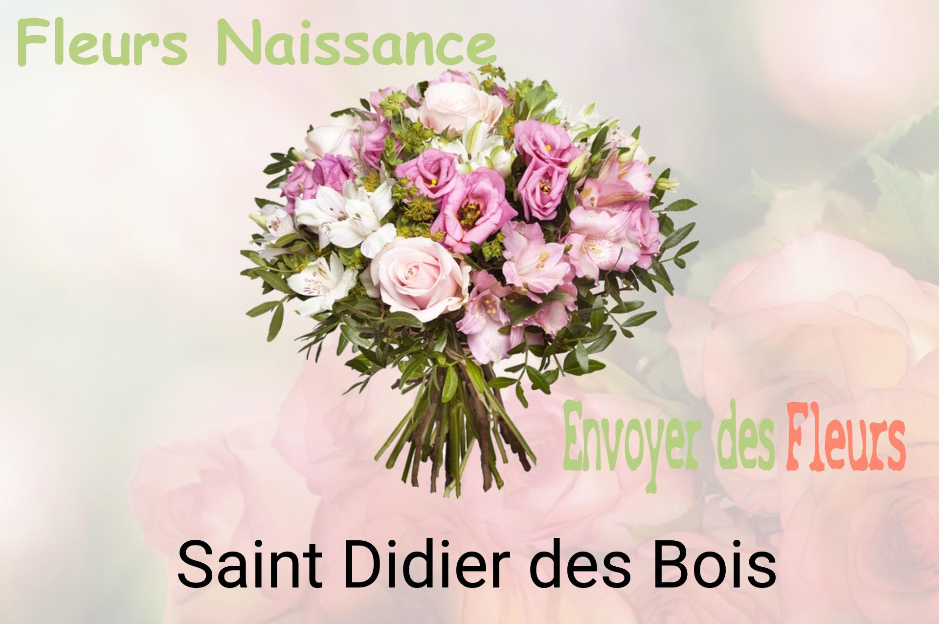 Bouquet de fleurs de naissance livré à Saint-Didier-des-Bois