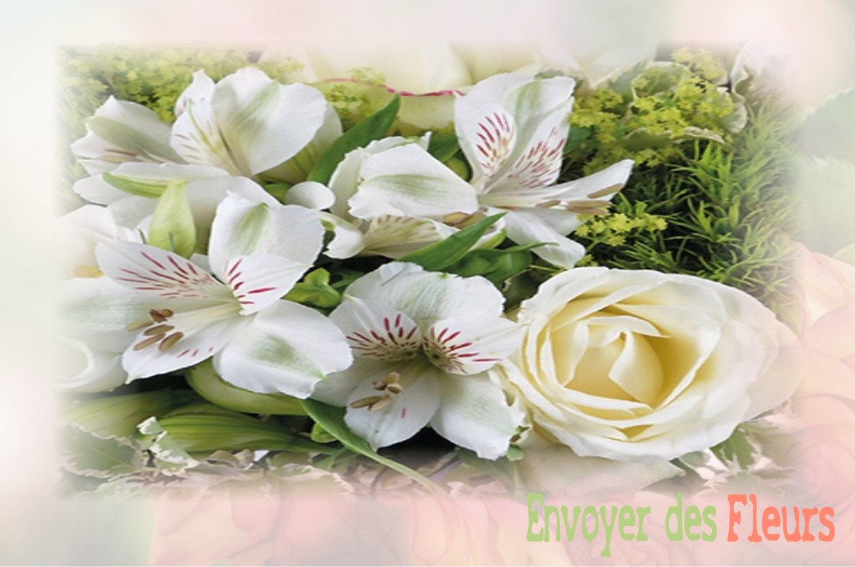 envoyer des fleurs à à SAINT-DIDIER-DES-BOIS